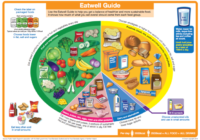 Optimum Macronutrients Per Day